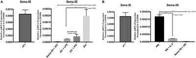 Semaphorin-3E Produced by Immature Dendritic Cells Regulates Activated Natural Killer Cells Migration